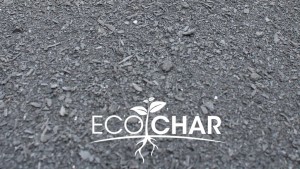 EcoChar-close-recht-1024x576